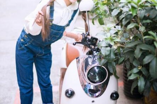上海新茶嫩茶安排(上海新茶嫩茶如何选择)